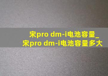 宋pro dm-i电池容量_宋pro dm-i电池容量多大